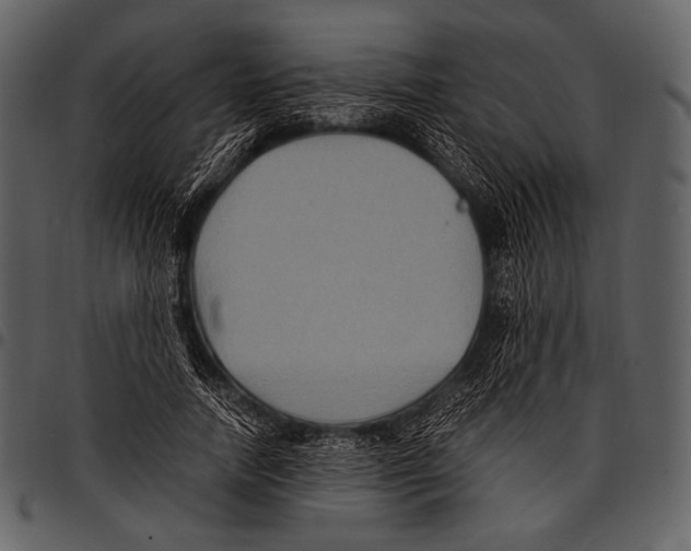 X0000097500738200803201552