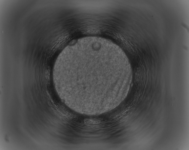X0000097500739200803201552