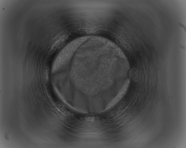 X0000097500740200803201552