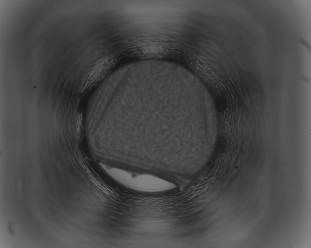 X0000097500742200803201552