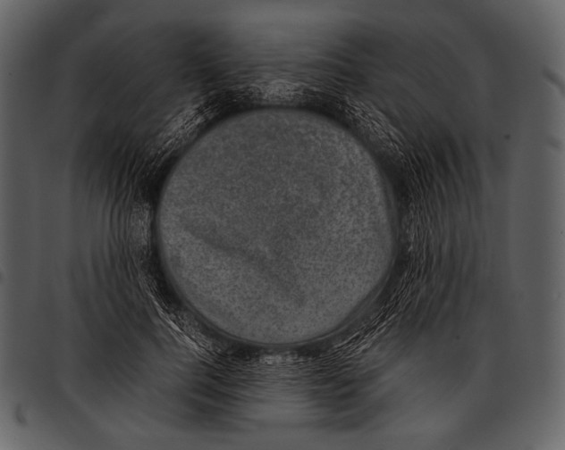 X0000097500744200803201552