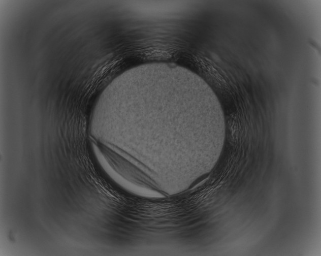 X0000097500745200803201552