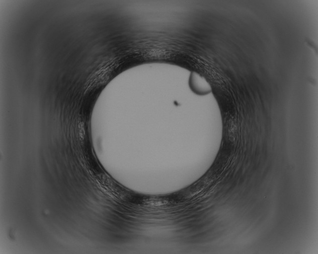 X0000097500746200803201552