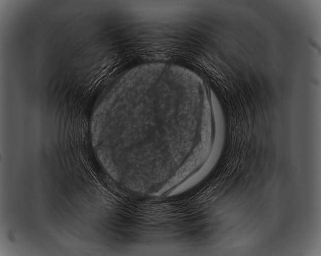 X0000097500747200803201552