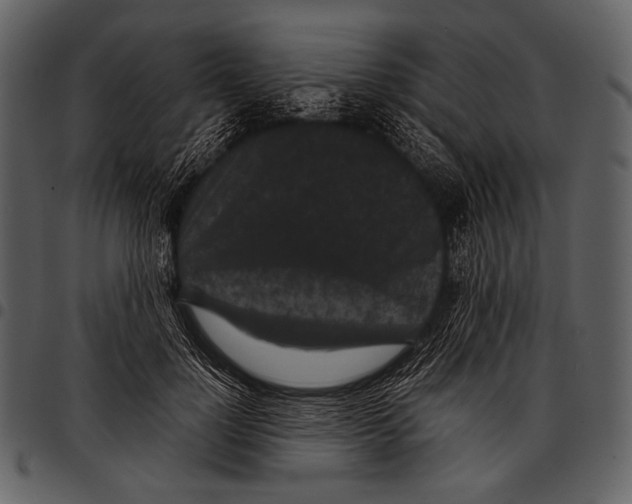 X0000097500748200803201552