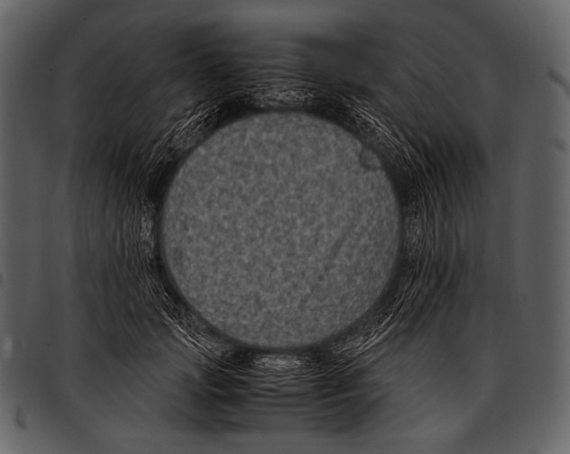 X0000097500749200803201552