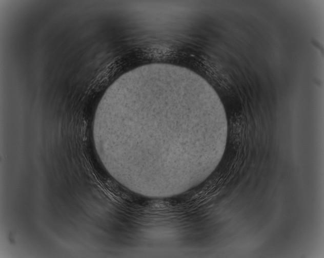 X0000097500750200803201552