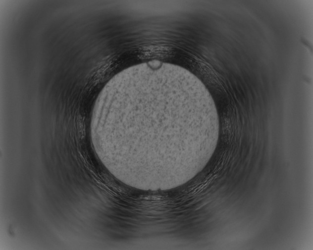 X0000097500751200803201552