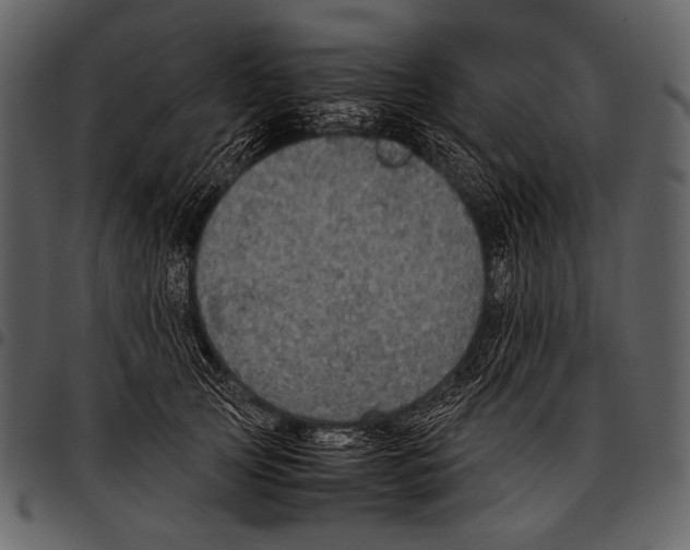X0000097500753200803201552