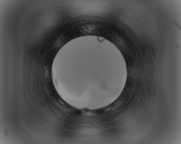 X0000097500754200803201552