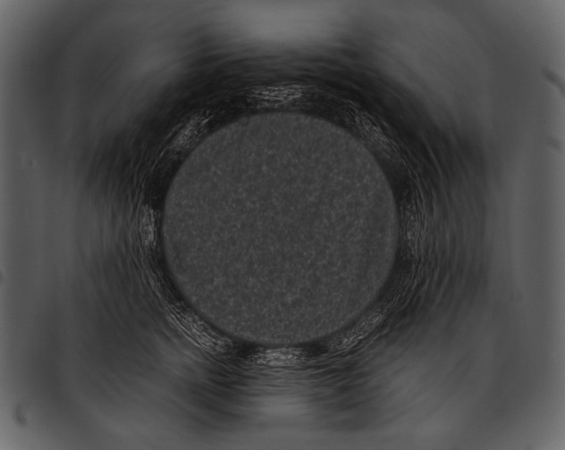 X0000097500758200803201552