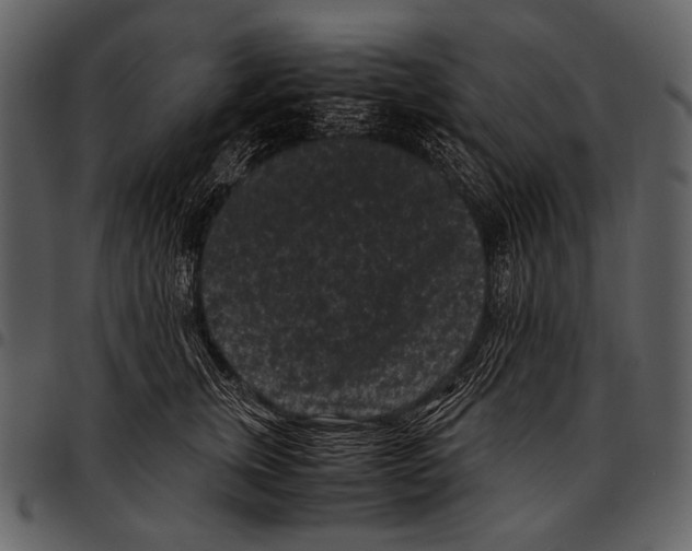 X0000097500759200803201552