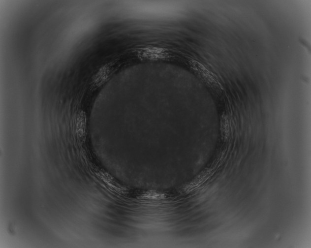 X0000097500760200803201552