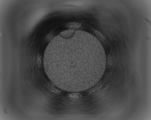 X0000097500761200803201552