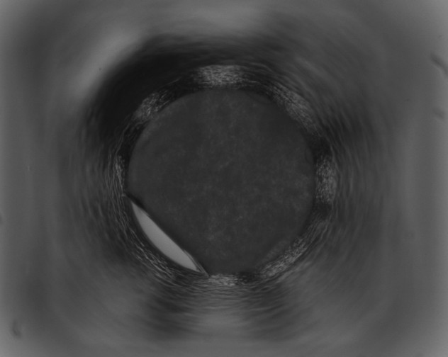 X0000097500762200803201552