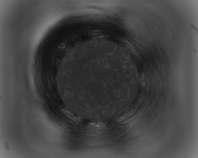 X0000097500763200803201552
