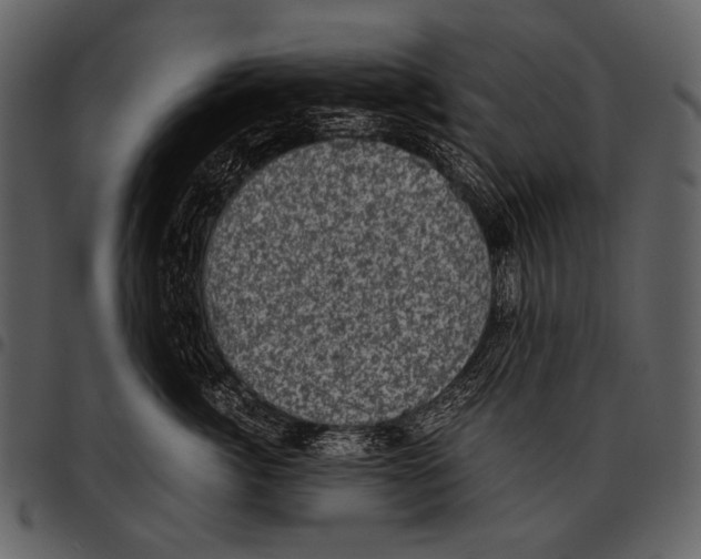 X0000097500764200803201552