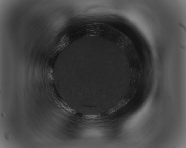 X0000097500766200803201552