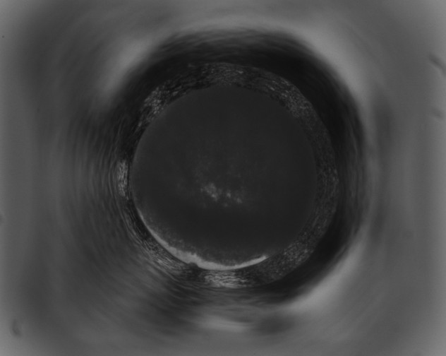 X0000097500767200803201552