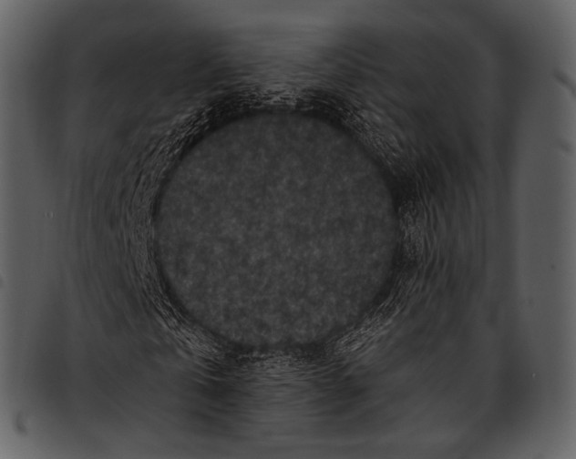 X0000097500769200803201551