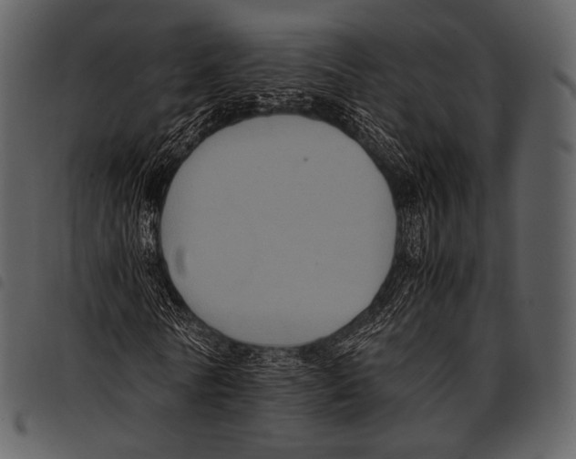 X0000097500770200803201551