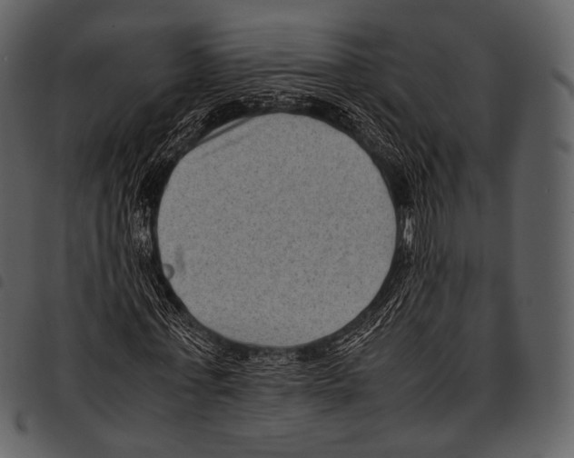 X0000097500771200803201551