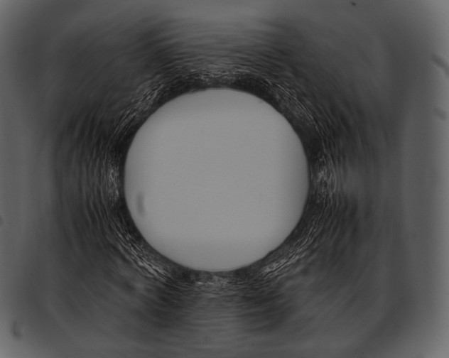 X0000097500772200803201551