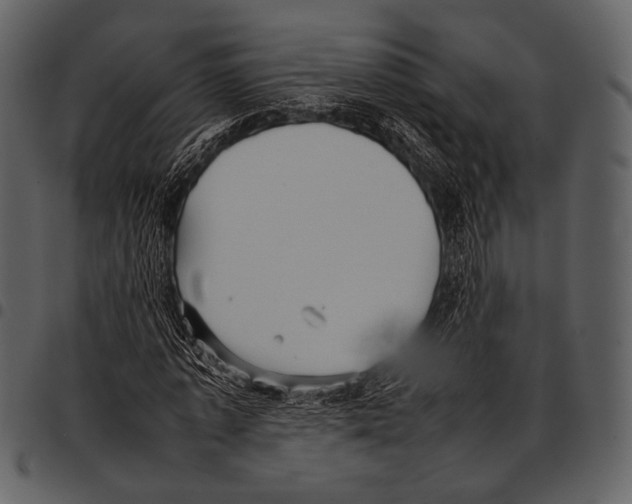 X0000097500773200803201551