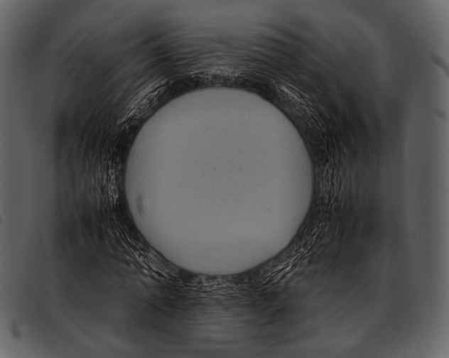 X0000097500774200803201551