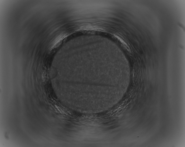 X0000097500775200803201551