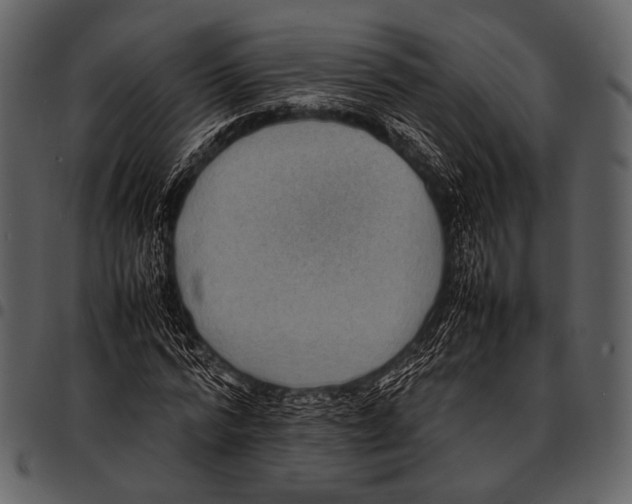 X0000097500776200803201551