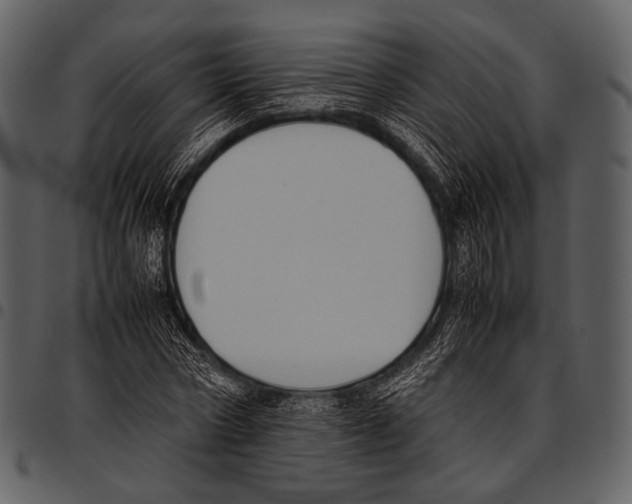 X0000097500778200803201551