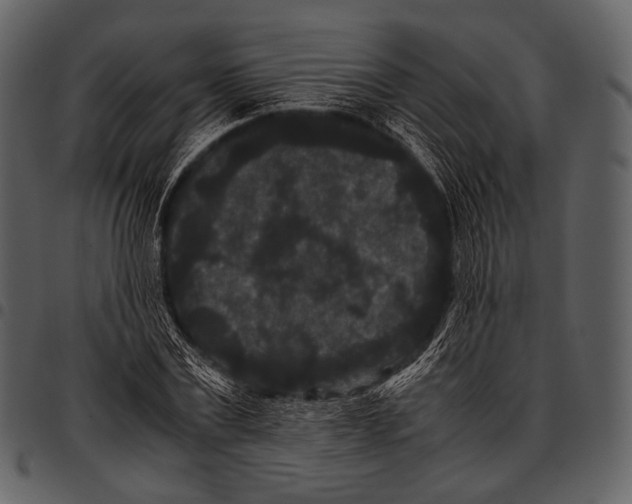 X0000097500779200803201551