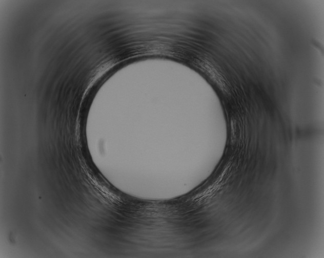 X0000097500780200803201551