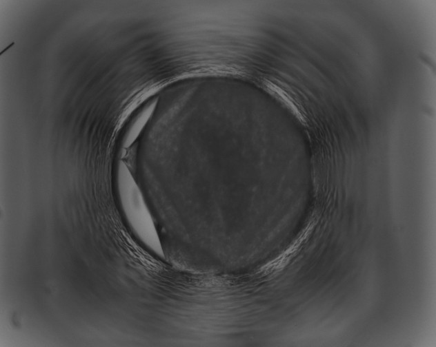 X0000097500781200803201551