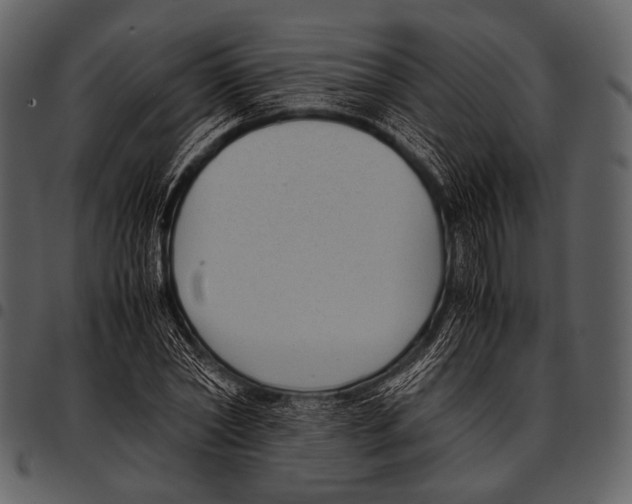 X0000097500782200803201551