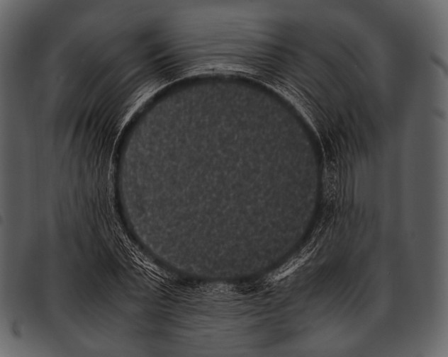 X0000097500783200803201551