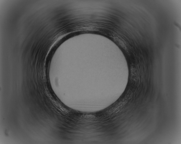 X0000097500784200803201551