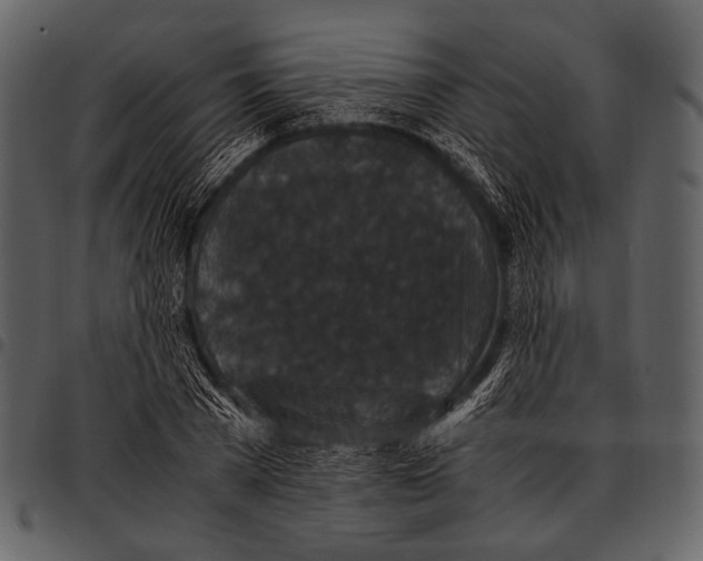 X0000097500785200803201551
