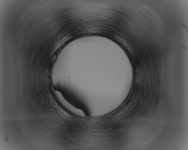 X0000097500786200803201551