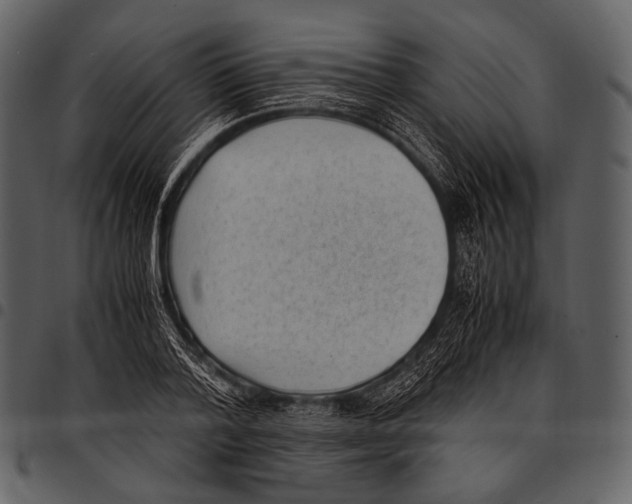 X0000097500788200803201551