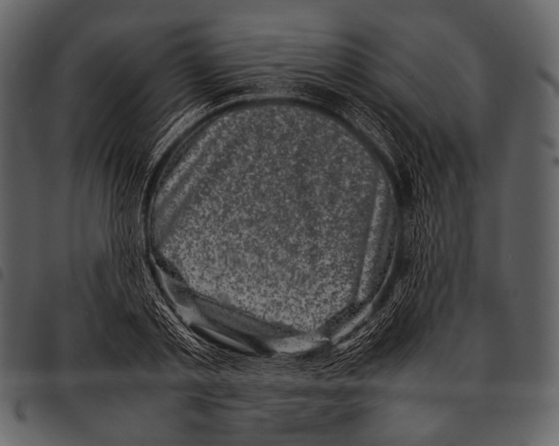 X0000097500789200803201551