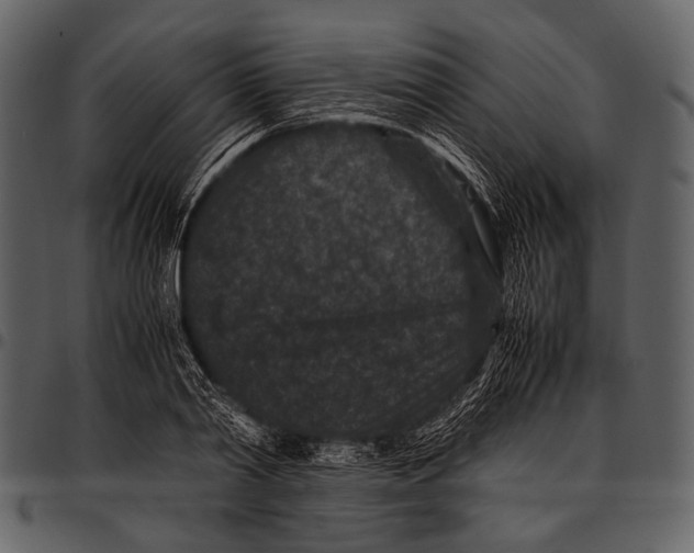 X0000097500790200803201551