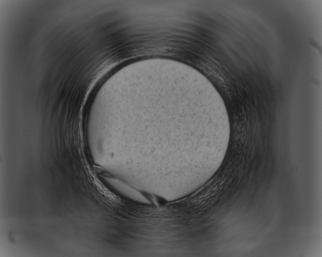X0000097500792200803201551