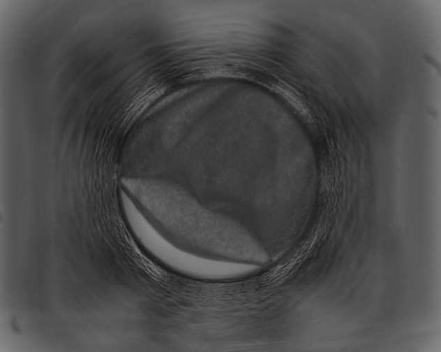 X0000097500793200803201551