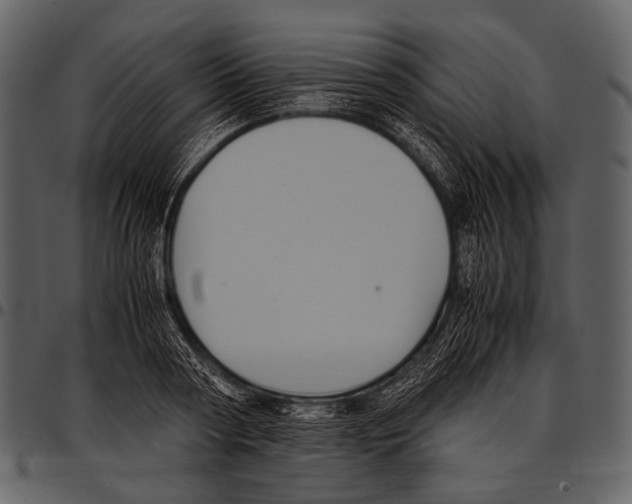 X0000097500794200803201551
