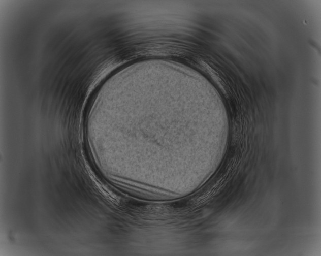 X0000097500795200803201551