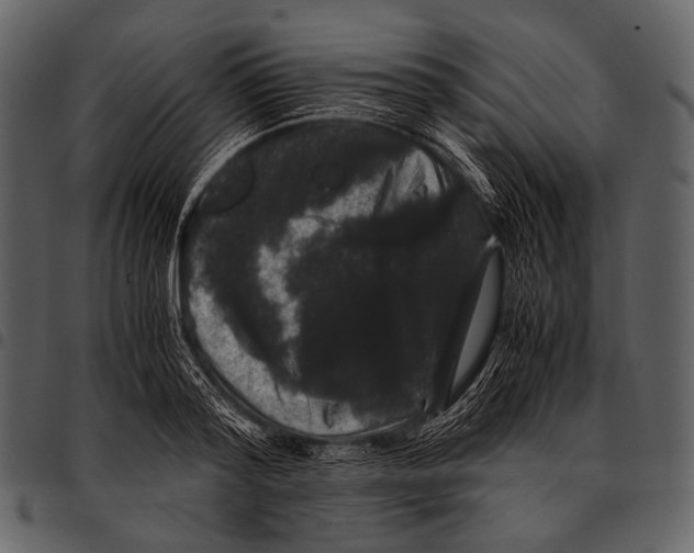 X0000097500796200803201551