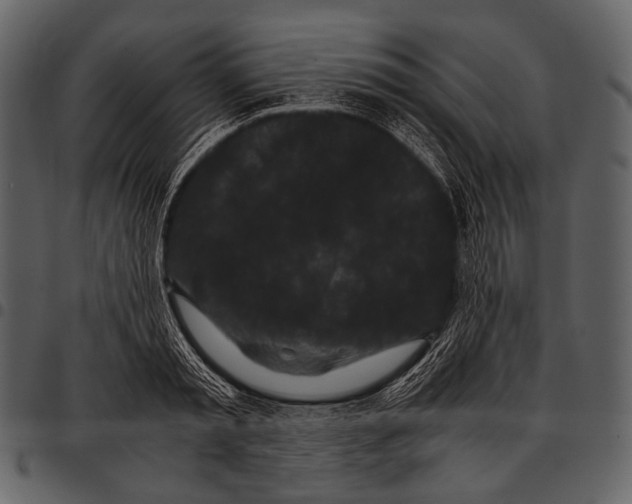 X0000097500797200803201551