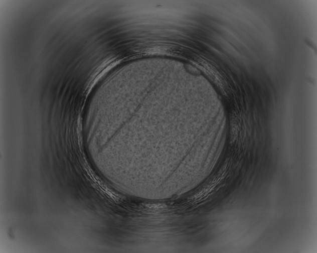 X0000097500798200803201551